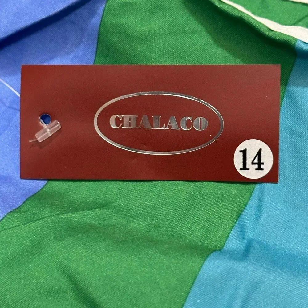 Chalaco Striped Swim Trunks blue, green | Men Size 14/Large